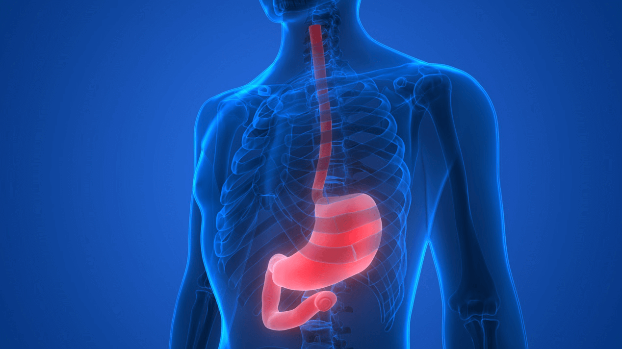 Gastroscopy