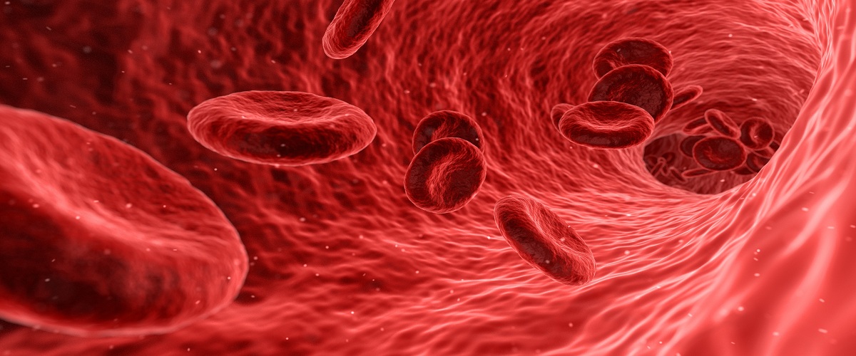 Low blood iron levels